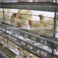 Corrosion Resistant chicken cages coops for chicken shed